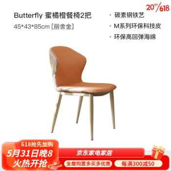 优梵艺术餐椅现代简约家用餐椅轻奢椅子蝴蝶椅Y77 2把蜜橘橙餐椅|丽舍金