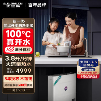 史密斯（A.O.SMITH）佳尼特新一代能出开水的净水器800G厨下加热家用净水机热水3.8升/分钟多档控温CAR800-FA1