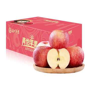 洛川蘋果 青怡陝西紅富士淨重2.25kg 單果160g起 新鮮水果禮盒