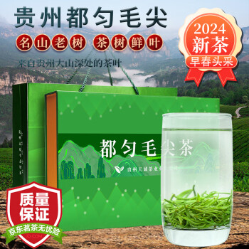 天城香贵州都匀毛尖绿茶2024年新茶明前春茶嫩芽浓香型茶叶礼盒装250g