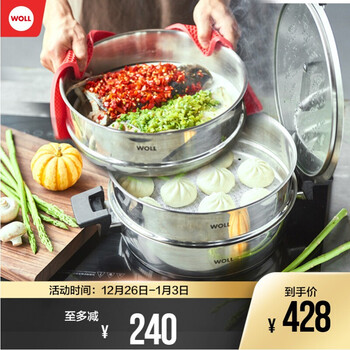 弗欧（WOLL） 德国WOLL汤锅蒸锅电磁炉燃气通用家用不锈钢蒸锅单层/双层 两层蒸屉28cm 2层 28cm