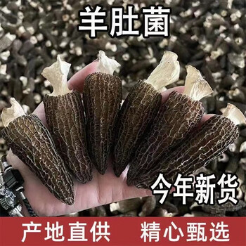 怡江黄金耳云南大个羊肚菌孕妇干货煲汤食材农家特产菌菇蘑菇香菇羊肚菌 特级羊肚菌：3包大个肉嫩