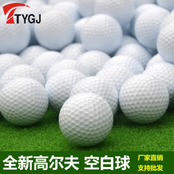 TTYGJ 高尔夫球 练习球 空白球 无LOGO 双层练习球 10个一组