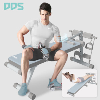多德士（DDS） 仰臥板 家用多功能仰臥起坐輔助板 腹肌板健腹板收腹器健身 二合一平凳（煙雨藍）