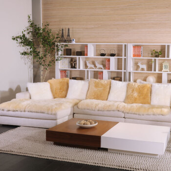AUSKIN澳世家 沙发垫加厚皮毛一体简约北欧风纯色沙发坐垫 香槟色 CR 自然形状 三人垫 60cm*180cm