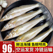 核酸已检测美威轮切三文鱼排 大西洋鲑 400g 2 3片或5片含w3 Bap认证生鲜海鲜水产海鲜水产 报价价格评论品牌 京东热卖 核酸已检测美威轮切三文鱼排 大西洋鲑 400g 2 3片或5片含w3 Bap认证生鲜海鲜水产海鲜水产 报价价格评论品牌 京东热卖